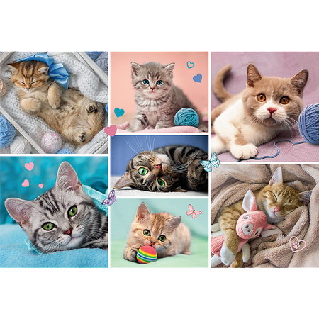 Puzzle - 100 - W kocim świecie - Trefl 16420