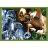 Puzzle - 4w1 (12, 15, 20, 24) - Groźne dinozaury - Universal Jurassic World - Trefl 34607