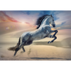 Puzzle - 1000 - Majestatyczny koń - Trefl 10790