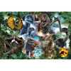 Puzzle - 300 - Ulubione dinozaury - Universal Jurassic World - Trefl 23013