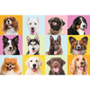 Puzzles - 60 - Słodkie psiaki - Trefl 17374