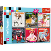 Puzzle - 200 - Wesołe psy - Trefl 13279