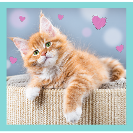 Puzzle - 3w1 (20, 36, 50) - Słodkie zwierzaki - Trefl 34862