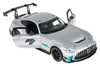 Autko R/C 1:14 Mercedes-AMG GT2 Szary RASTAR