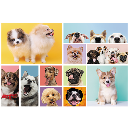 Puzzle - 160 - Psia Przyjaźń - Trefl 15412