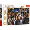 Puzzle - 160 - Harry Potter i przyjaciele - Trefl 15418