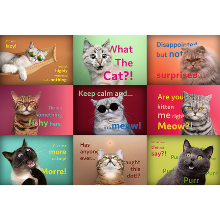 Puzzle - 1500 - Zabawne Kocie Portrety - Trefl 26212