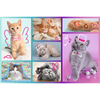 Puzzle - 60 - Słodkie kociaki - Trefl 17373