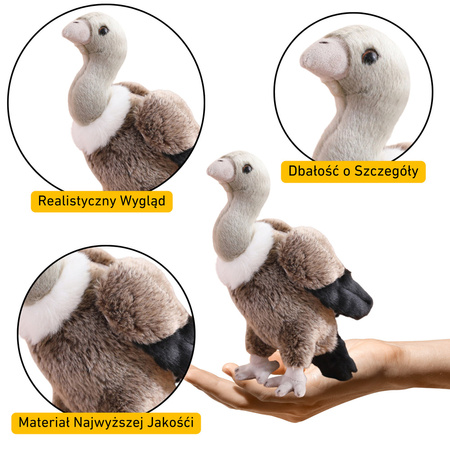 Pluszowy Sęp Ptak Pluszak Maskotka Przytulanka 25cm