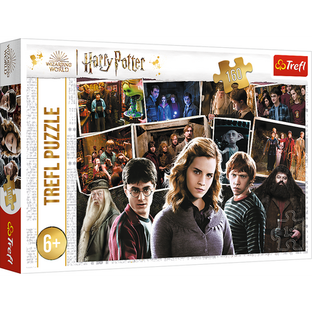 Puzzle - 160 - Harry Potter i przyjaciele - Trefl 15418