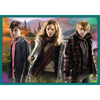 Puzzle - 10w1 - Harry Potter - W świecie Harrego Pottera - Trefl 90392