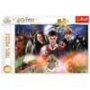 Puzzle - 300 - Harry Potter - Tajemniczy Harry Potter - Trefl 23001