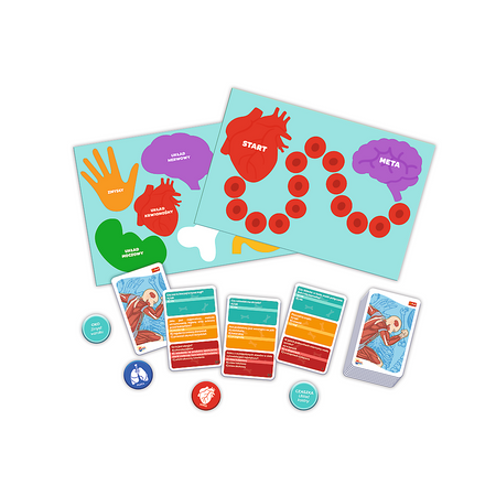 Gra dla dzieci Ciało człowieka Mistrz Wiedzy Trefl 01957