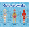 Gra dla dzieci Ciało człowieka Mistrz Wiedzy Trefl 01957