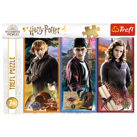 Puzzle - 200 - Harry Potter - W świecie magii i czarów - Trefl 13277