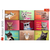 Puzzle - 1500 - Zabawne Kocie Portrety - Trefl 26212