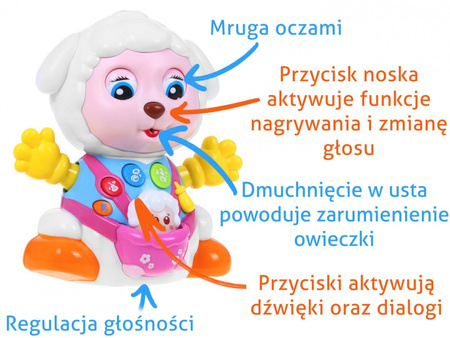 Wesoła Owieczka