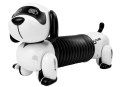 Interaktywny Pies Robot Zdalnie Sterowany Muzyka Dźwięk Pilot Piłka