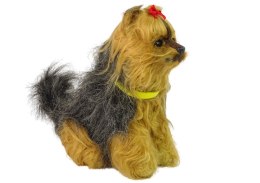 Interaktywny Pies Piesek Yorkshire terrier York Pluszowy Szczeka Rusza Ogonem