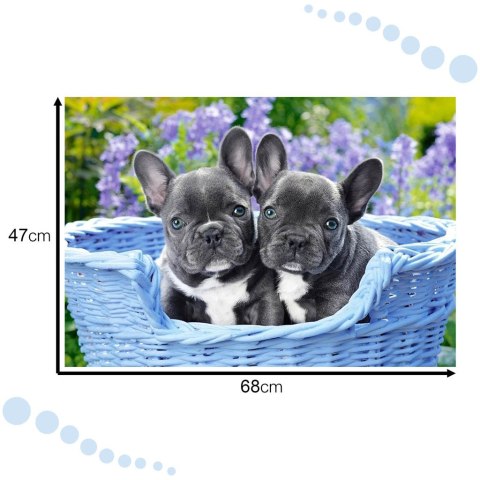 Puzzle układanka 1000 elementów Buldogi francuskie 68 x 47 cm CASTORLAND Puzzle układanka 1000 elementów Buldogi francuskie 68 x 47 cm CASTORLAND