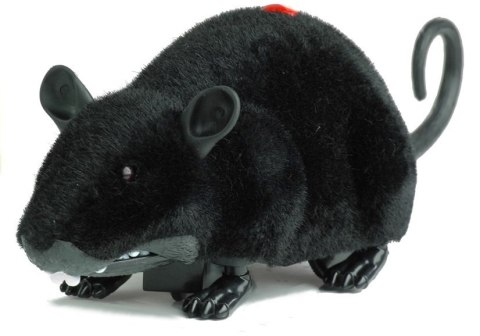 Mysz Zdalnie Sterowana Pilotem R/C Na Kółkach Duża Czarna Mysz Zdalnie Sterowana Pilotem R/C Na Kółkach Duża Czarna