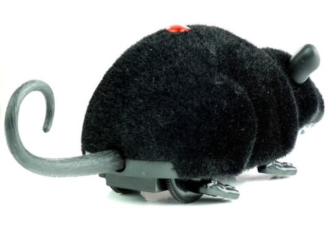 Mysz Zdalnie Sterowana Pilotem R/C Na Kółkach Duża Czarna Mysz Zdalnie Sterowana Pilotem R/C Na Kółkach Duża Czarna