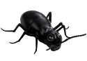 Wielka Mrówka Insekt Zdalnie Sterowany R/C Czarny