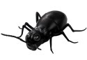Wielka Mrówka Insekt Zdalnie Sterowany R/C Czarny