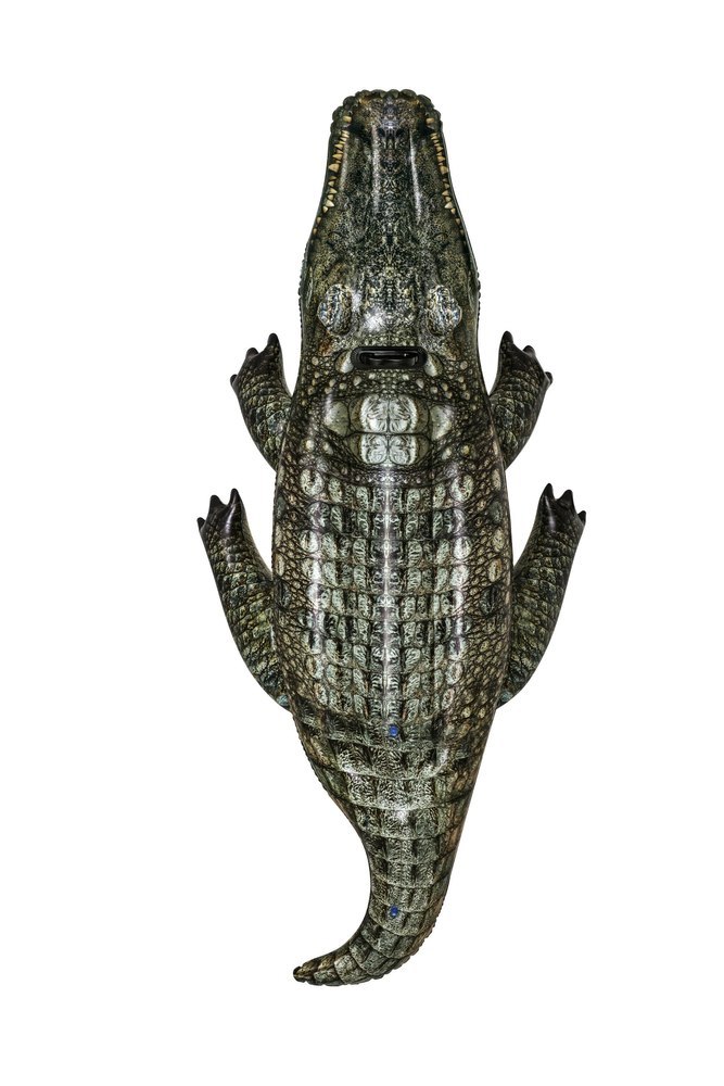 Dmuchany Krokodyl 193 cm x 94 cm Bestway 41478