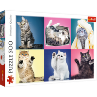 Puzzle - 500 - Kociaki - Trefl 37377