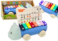 Cymbałki Hipopotam Na Kółkach Instrument Dla Dzieci Kolorowe Edukacyjne